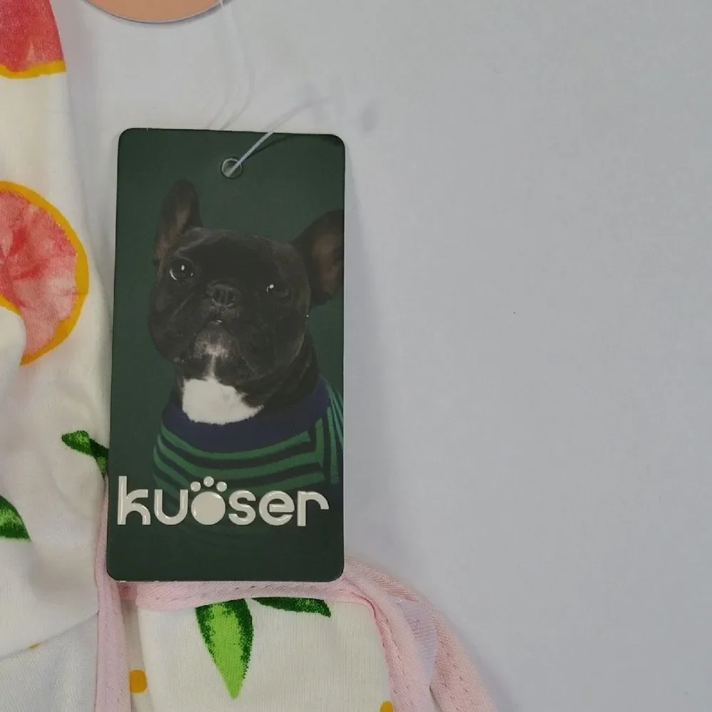 Dog Recovery Suit